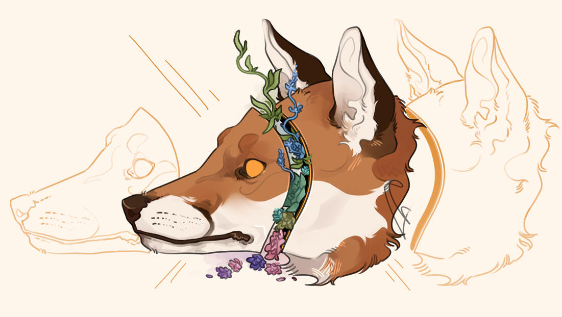 Secret Garden