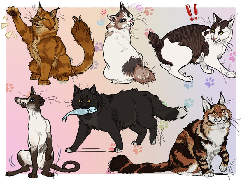 Cats Doodles